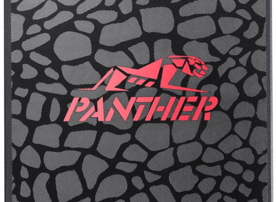 512 GB SATA SSD ApacerAS350 Panther