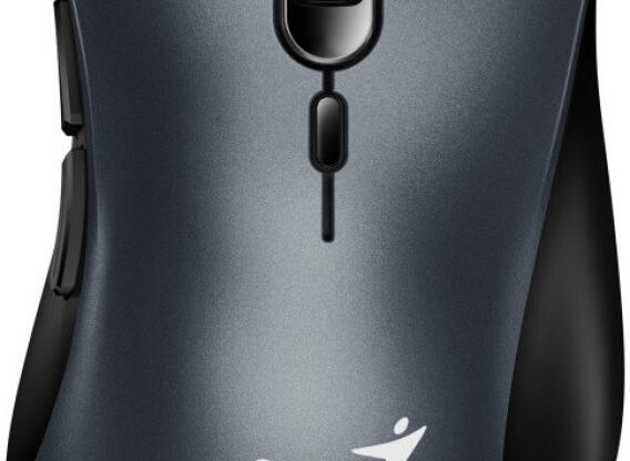 Genius Ergo 8100s vezeték nélküli egér Iron Grey