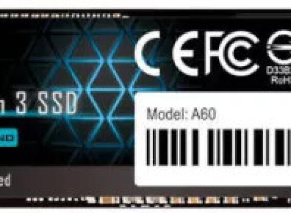 256 GB M.2 NVMe SSD SP A60