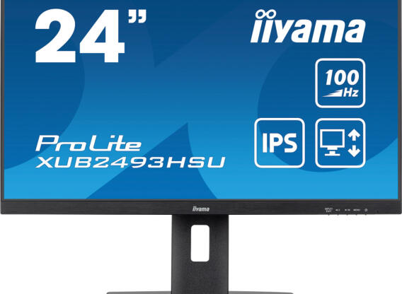 Iiyama Prolite XUB2493HSU-B6 (100 Hz) monitor
