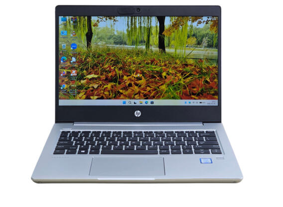 HP Probook 430 G6 Laptop / i5-8265U / 8GB RAM / 256GB SSD / SZH